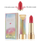 Double-sided Design Matte Lipstick Sexy Moisturizer Lipstick Waterproof Makeup Velvet Lipstick Maquiagem